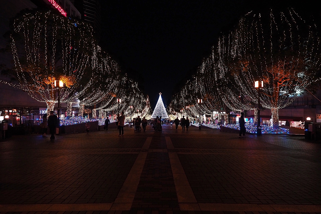 都内ランキング20位のイルミネーション