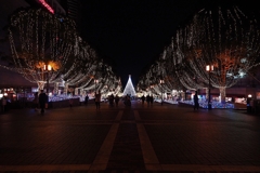 都内ランキング20位のイルミネーション