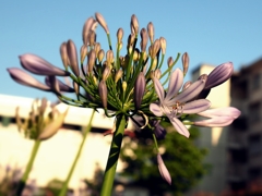 The Other Side of One Hot Summer Evening