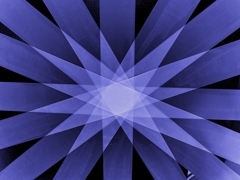 我が家の英雄：睡蓮