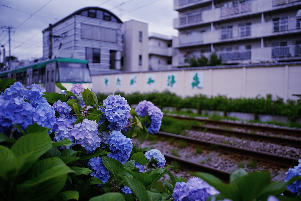 世田谷線 豪徳寺