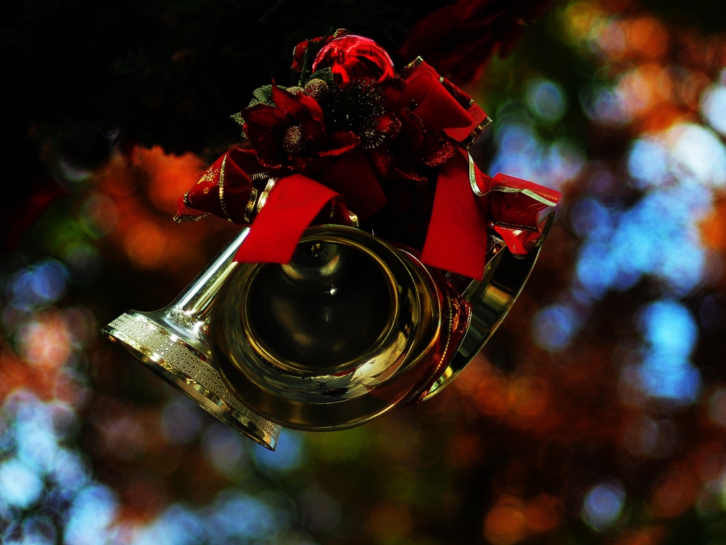 街は Christmas ♪ D