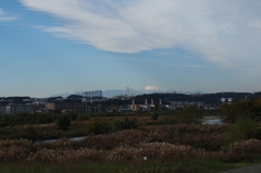 いけね～望遠持って来れば良かった…