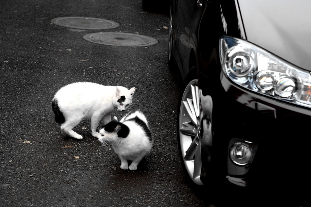 アプローチは慎重かつ大胆に