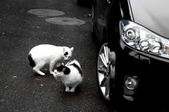 アプローチは慎重かつ大胆に