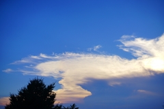 連休最終日の夕雲