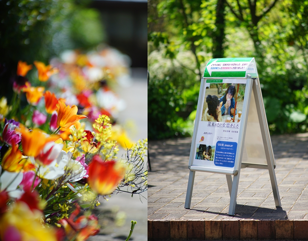 花束みたいな恋をした