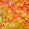 なぜ50㎜しか持って行かなかったのか？