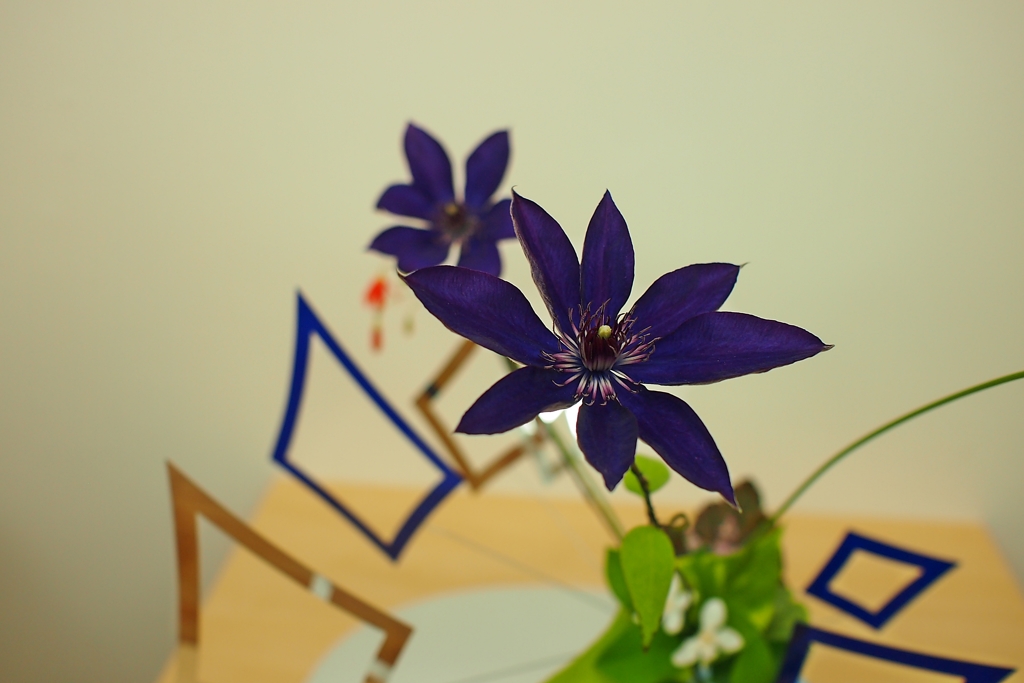 Funky Violet