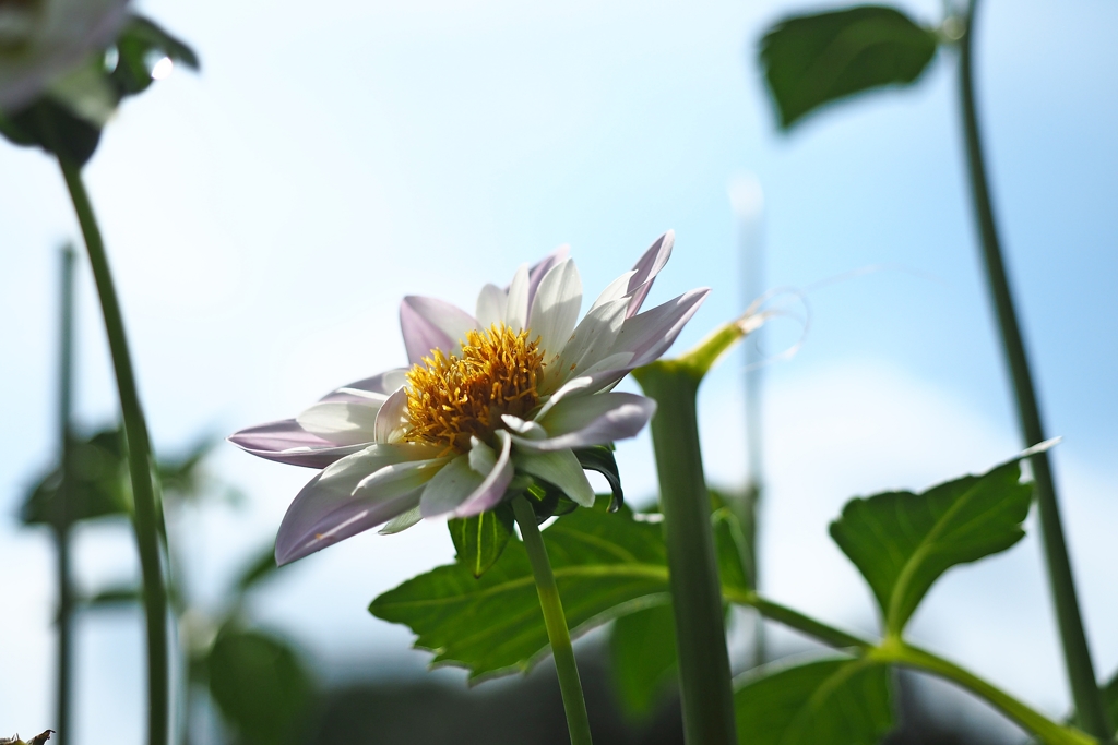 あなたの違った一面