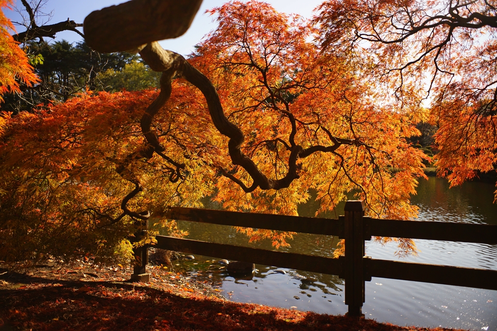 撮影マナーを考える