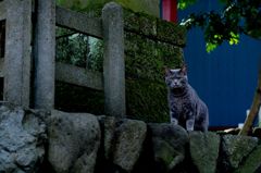 も～来んじゃね～ぞ