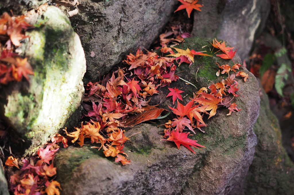 寂しいステージ