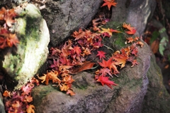 寂しいステージ