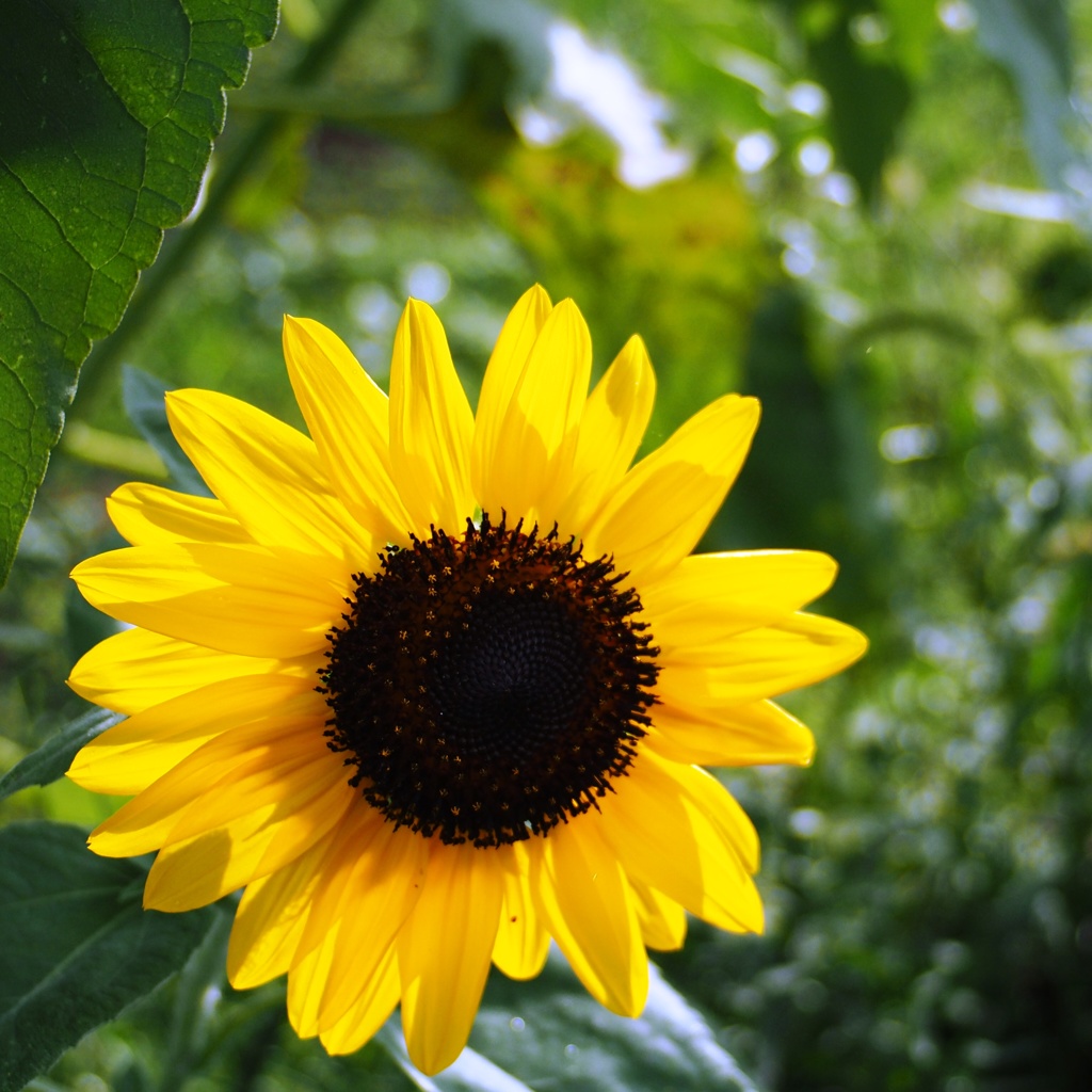 私を忘れないで