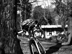 森のロードレーサー