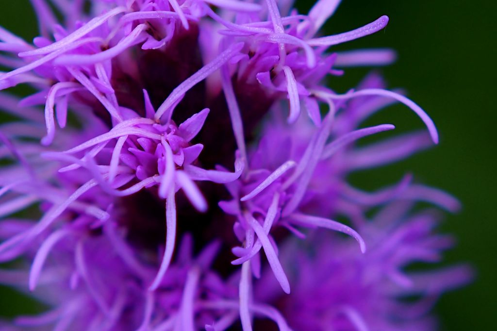 いらっしゃい 竜宮へ♪