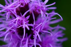 いらっしゃい 竜宮へ♪