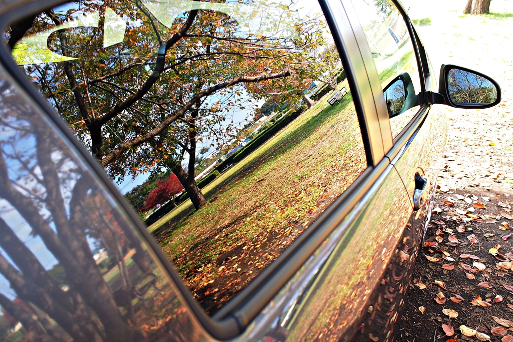 Vitzが映した秋景