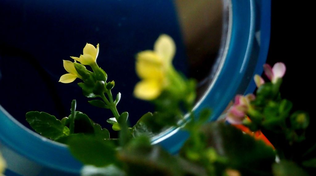 振り向いてもくれない