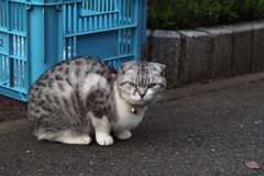 対峙する