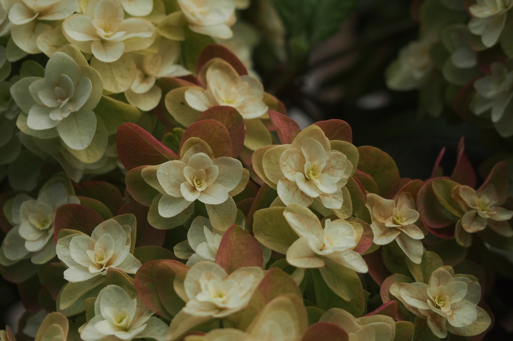 ずっと好きだった