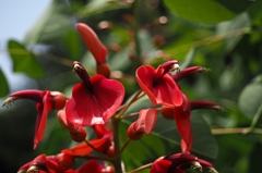 風を呼び 嵐が来た