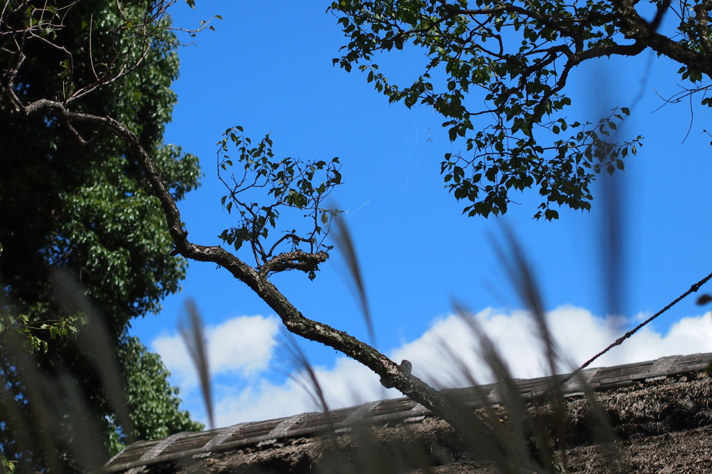 季節の狭間と生と死の狭間