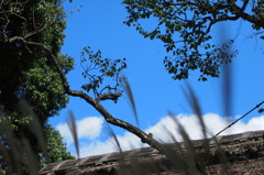 季節の狭間と生と死の狭間