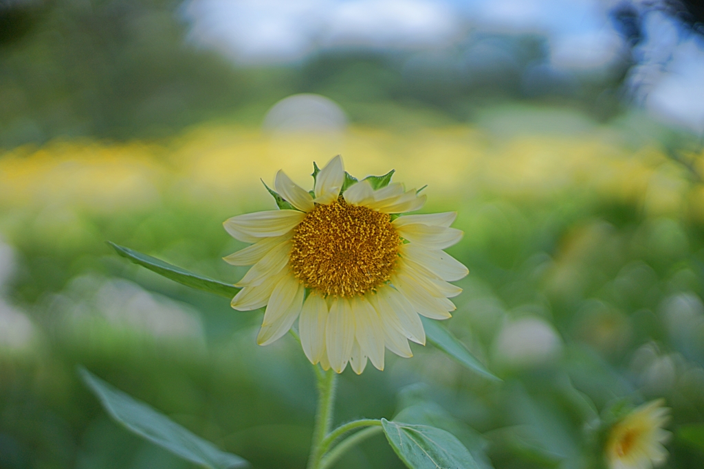滞在時間１時間４０分