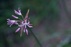 うまく言えないけれど