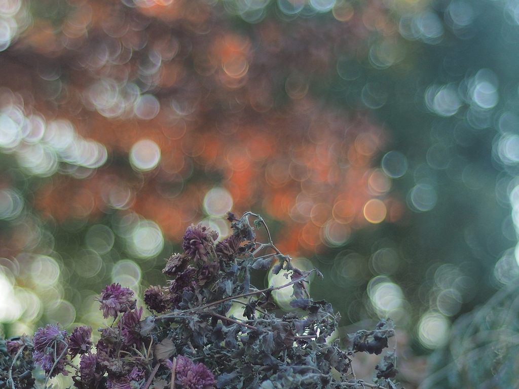 Ain't no Mountain High Enough