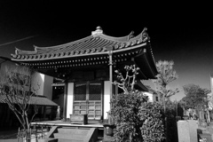 お寺は全ての人を受け入れてくれる。