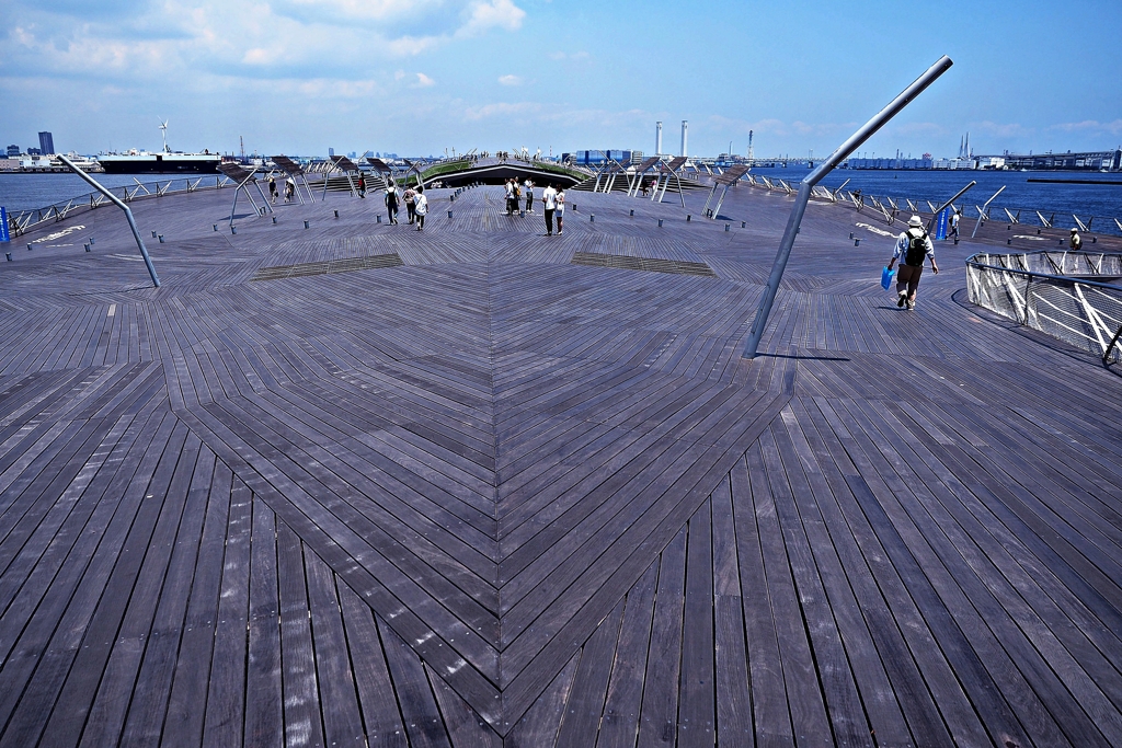 くじらのせなか