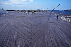 くじらのせなか