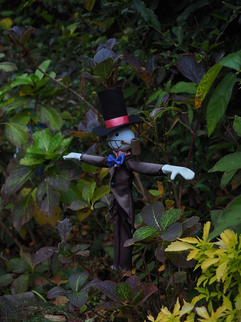 かかしの名前はカブ