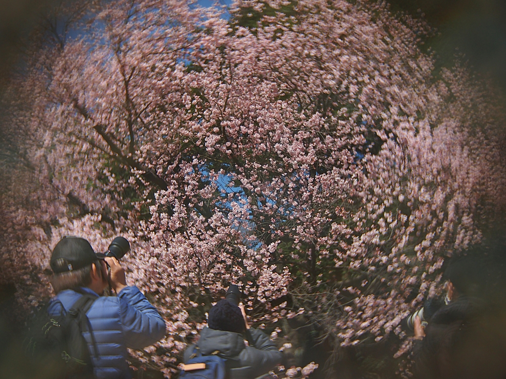 ゴーストバスターズ