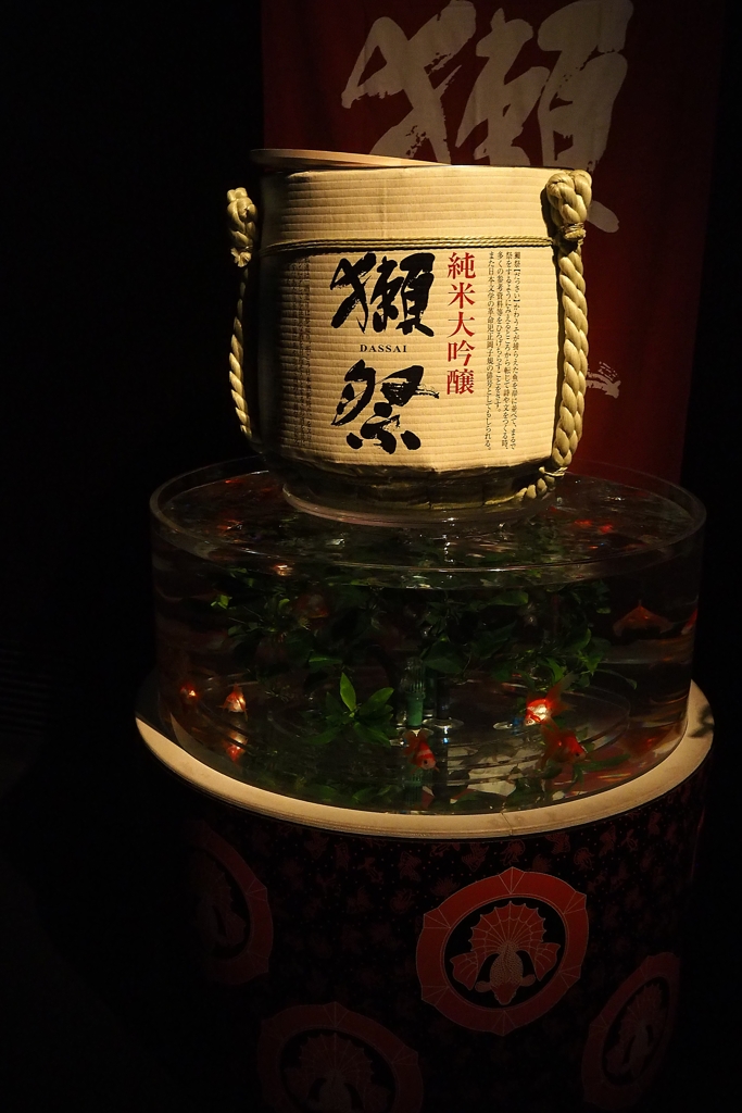 葛城ミサト 愛飲酒