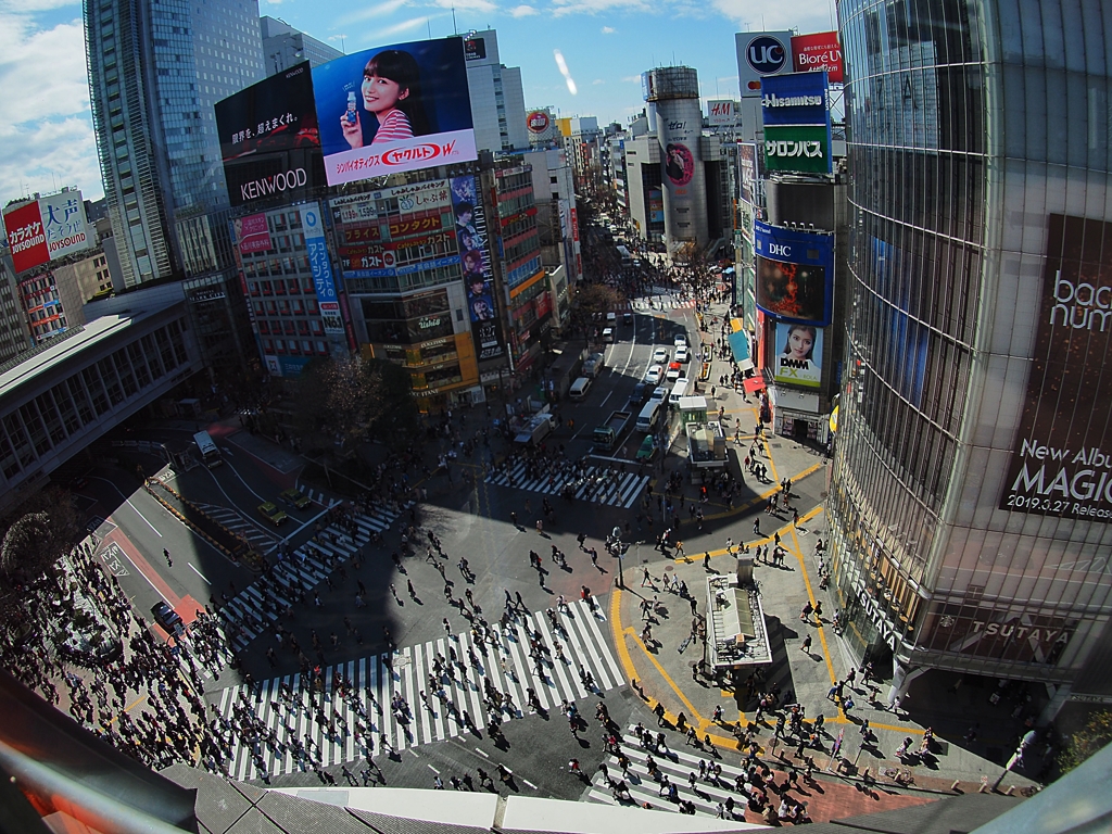 SHIBUYA CROSSING VIEW