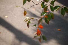 過ぎ去りし日々