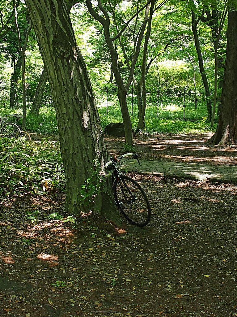森の駐輪場