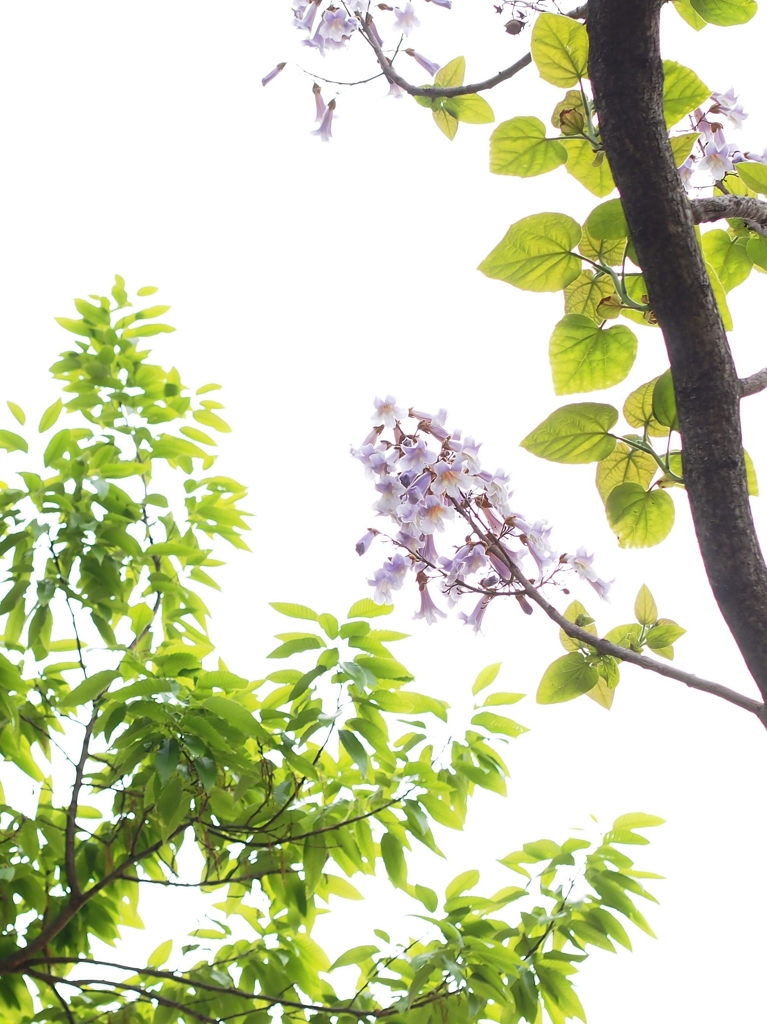 なに 撮ってるんだろうね？