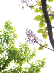 なに 撮ってるんだろうね？