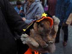 ウサちゃんもTrick or Treat！