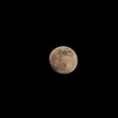 酔月 19時23分