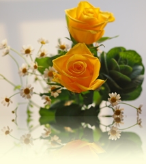 幸福の花束を貴方に