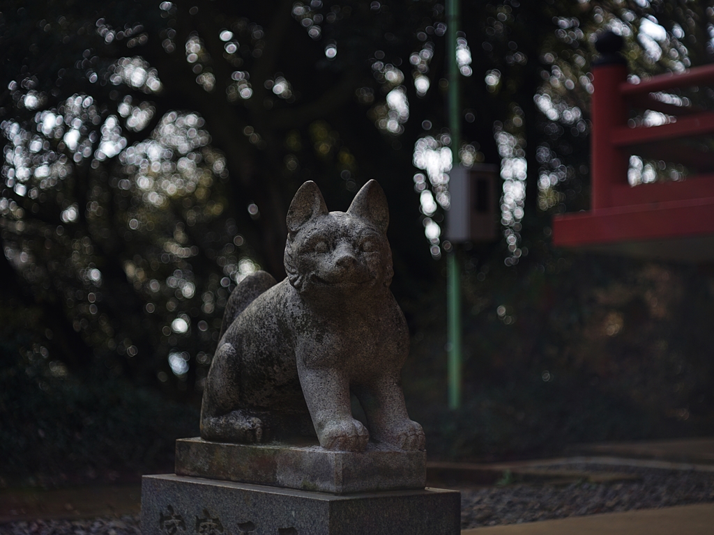 可愛い！狛犬なの？