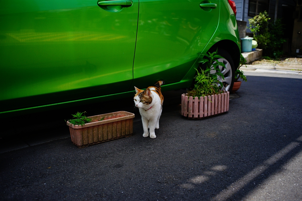 ビール×２ ジャパン×１ ツブ貝焼き×２串