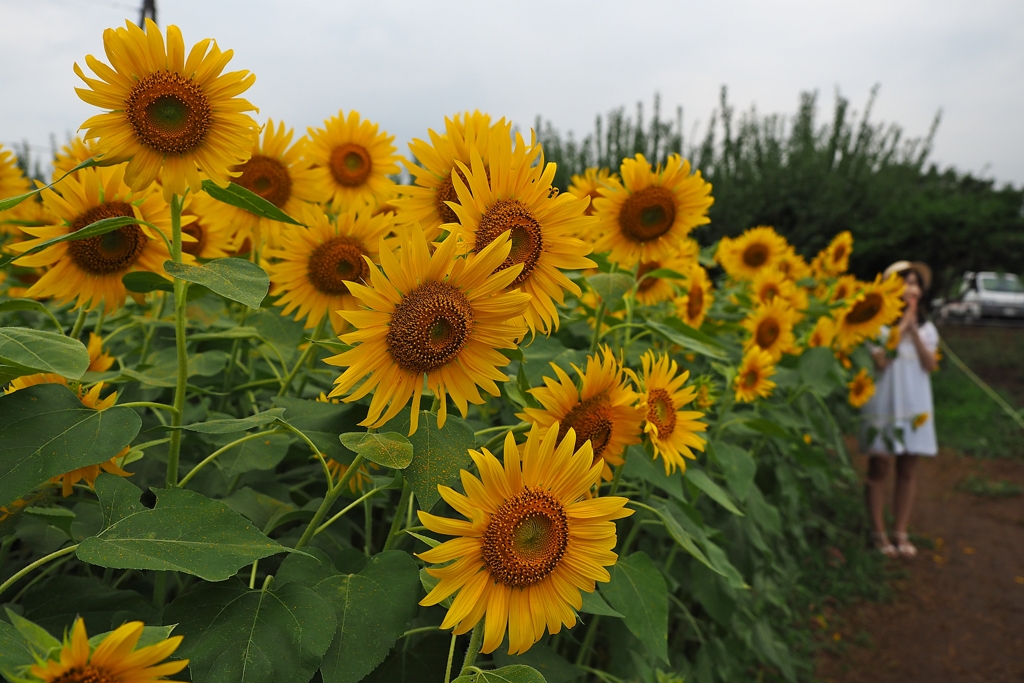 お仏壇の長谷川～♪