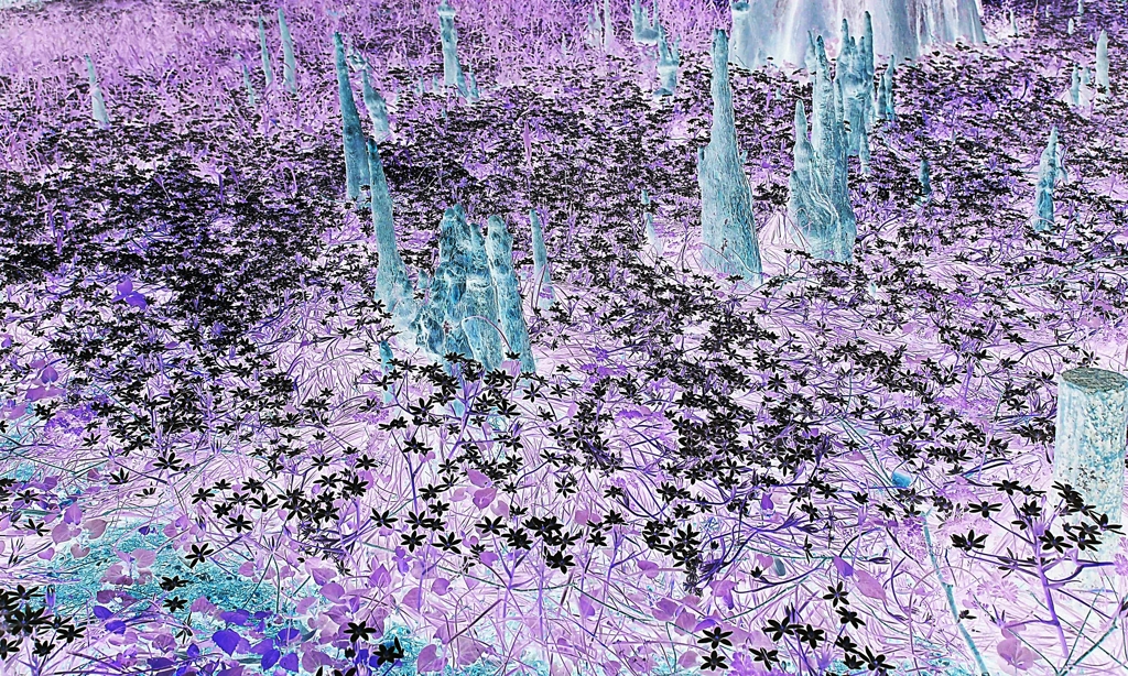 いざ 髑髏城へ